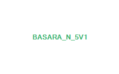 PA戦国BASARA N-5V1