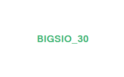 ビッグシオ-30