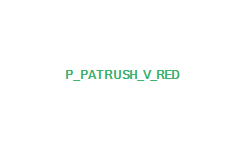 PパトラッシュV RED